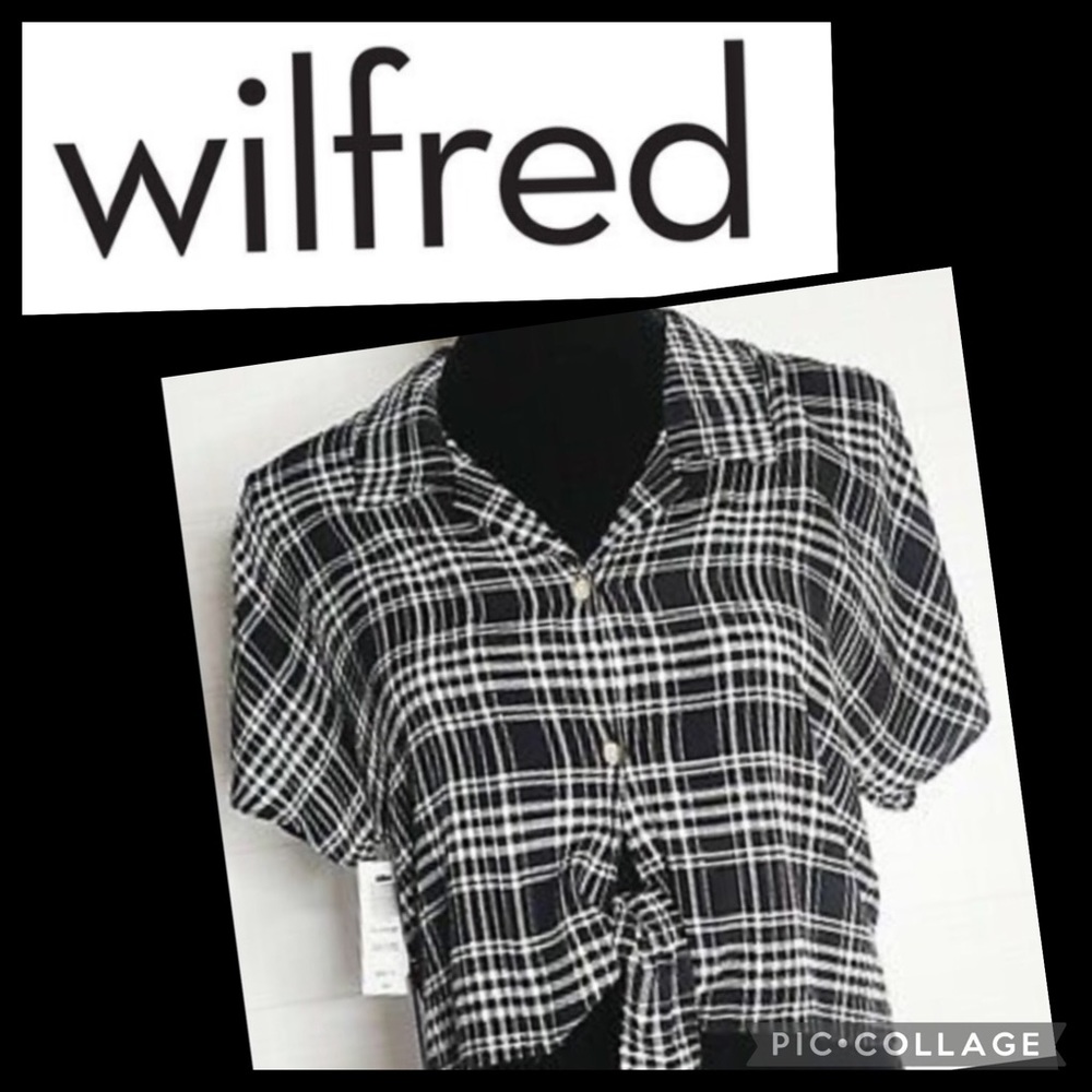 Aritzia Wilfred Shirt